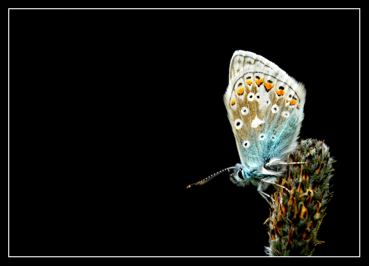 Leap_into_the_unknown_by_MessiahKhan.jpg