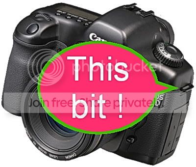 canon-5d-400.jpg
