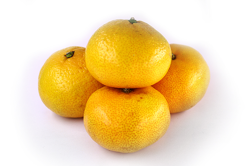 Orange_by_JackMcIntyre.jpg
