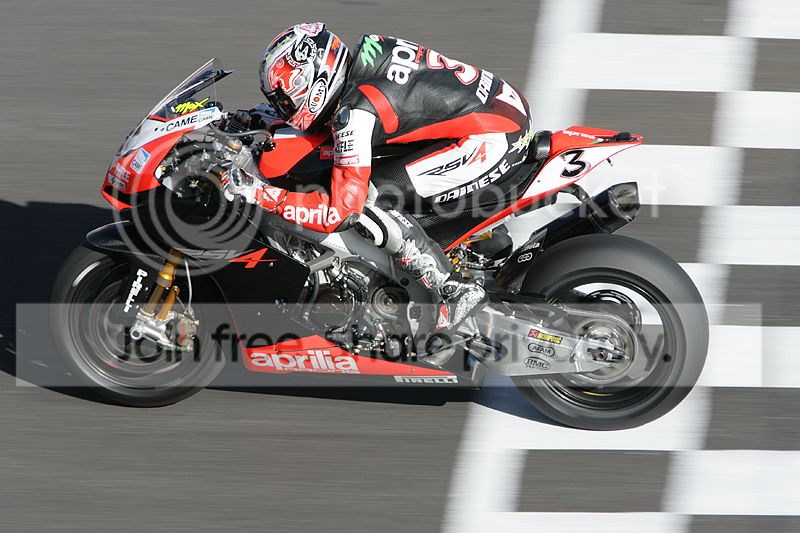 IMG_0603copy1.jpg