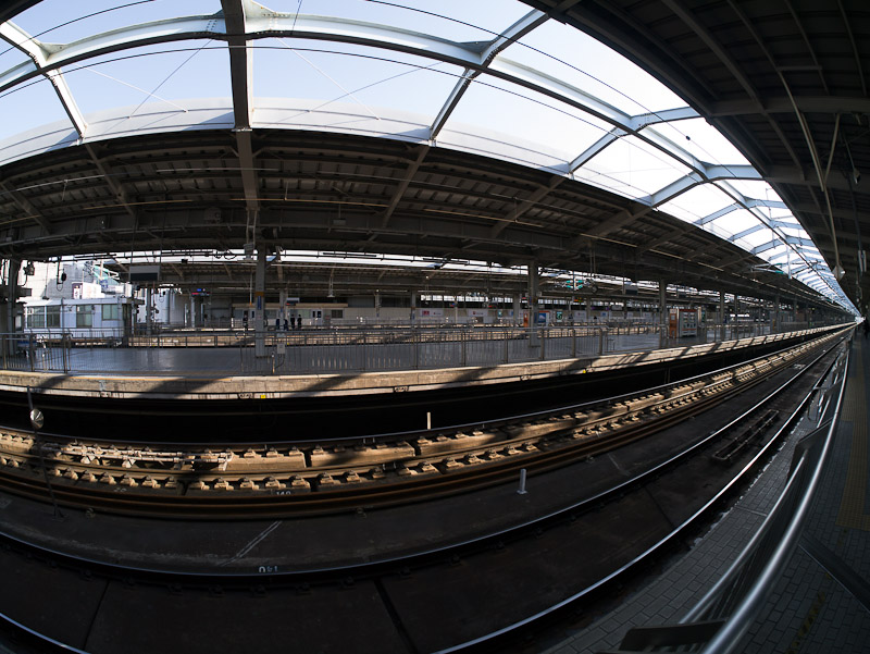 P1000210-800.jpg