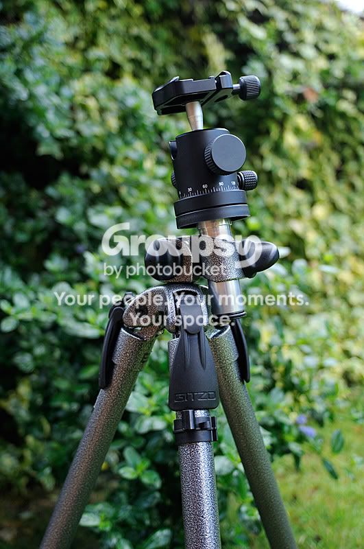 tripod.jpg