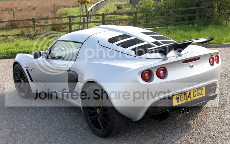 lotus3.jpg