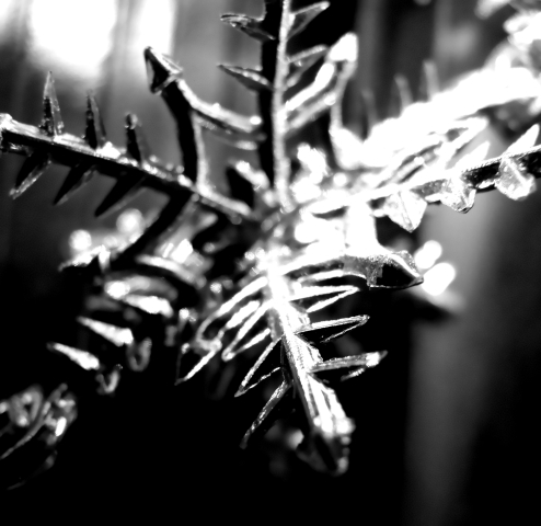 4190141493_c3603c0fd4_o.jpg