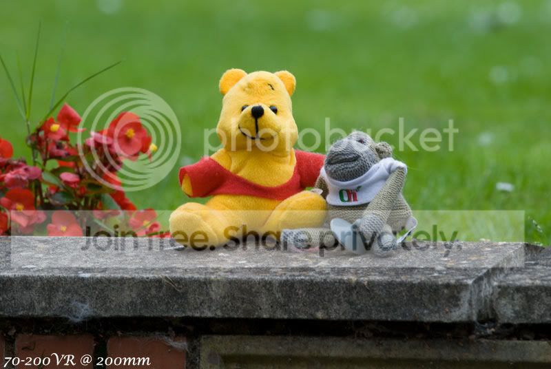 DSC_4308.jpg