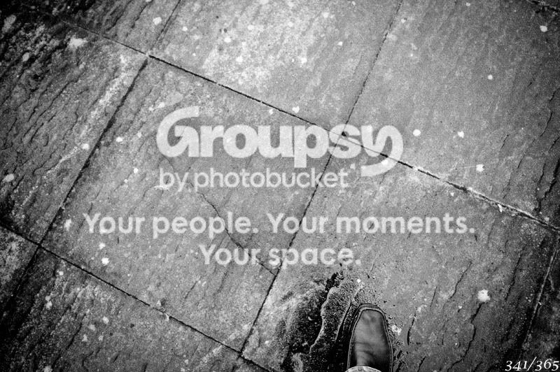 365_341.jpg