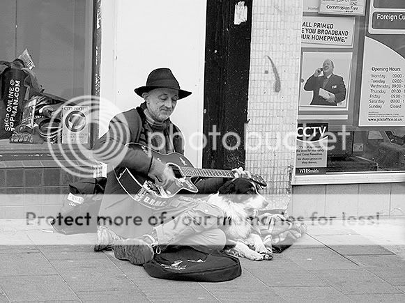 Homeless-with-Dogtp.jpg