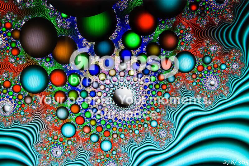 365_278.jpg