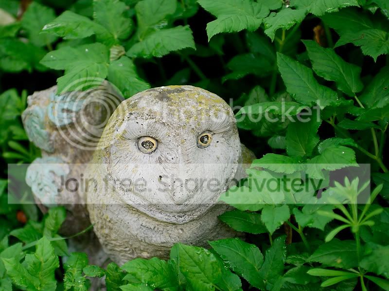 STU_7897.jpg