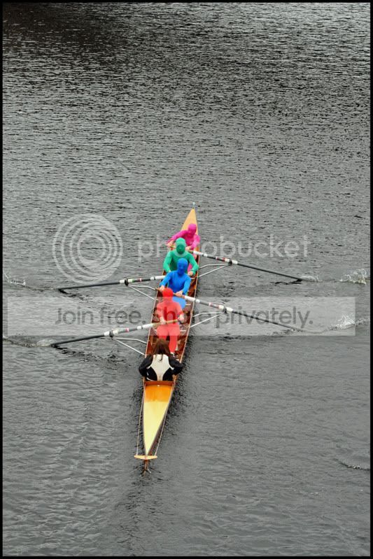 W24Bright3.jpg