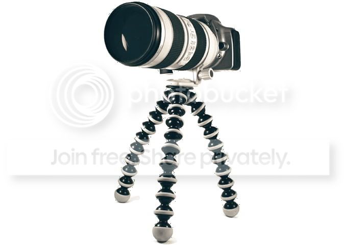 GorillapodSLR-ZOOM.jpg