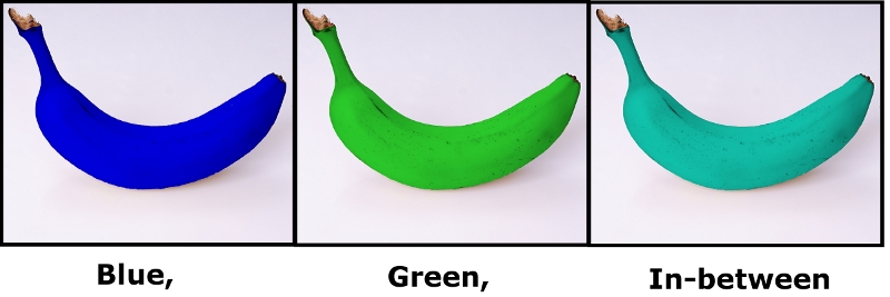 4259914980_e3064185c8_o.jpg