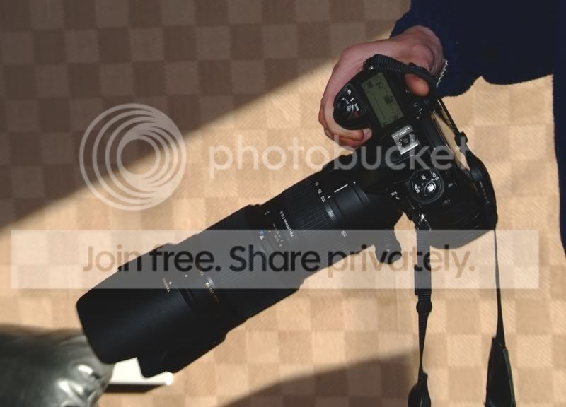 DSCF2287.jpg