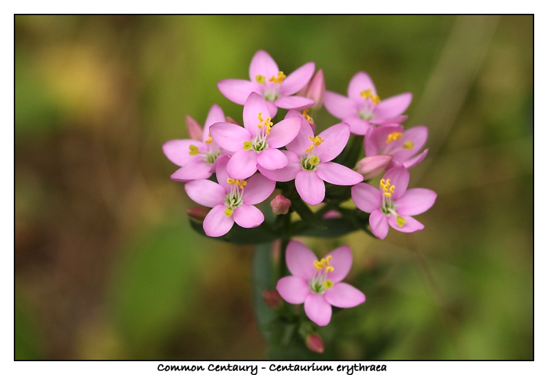 Img_2884b.jpg