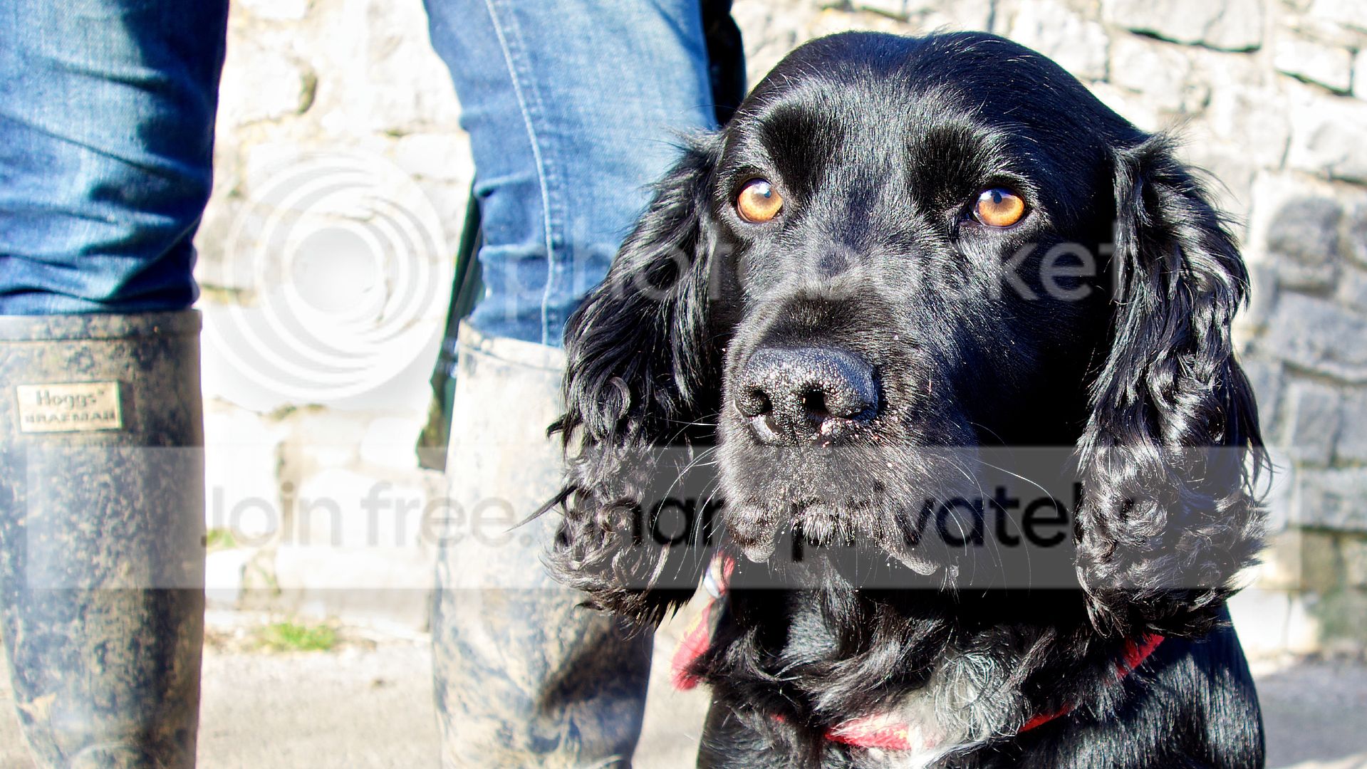 Brody_00417v2.jpg