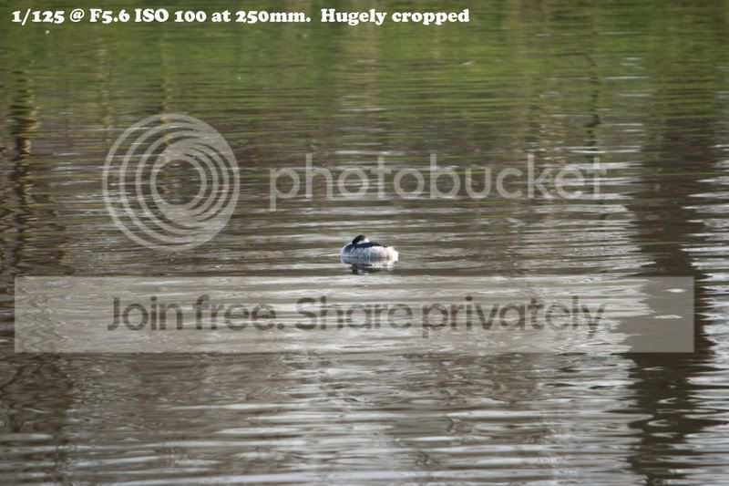 infogrebe3.jpg