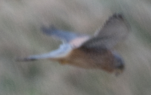 3248771826_85b53d21cf_o.jpg