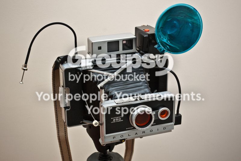 SG1L1135.jpg