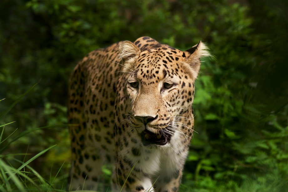261300497_9d6182c015_o.jpg