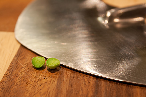 pea_chopper.jpg