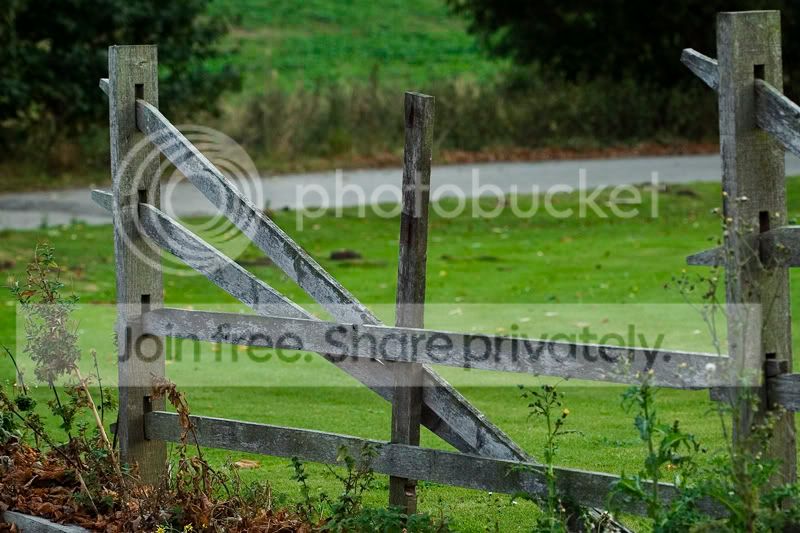 640C9897.jpg