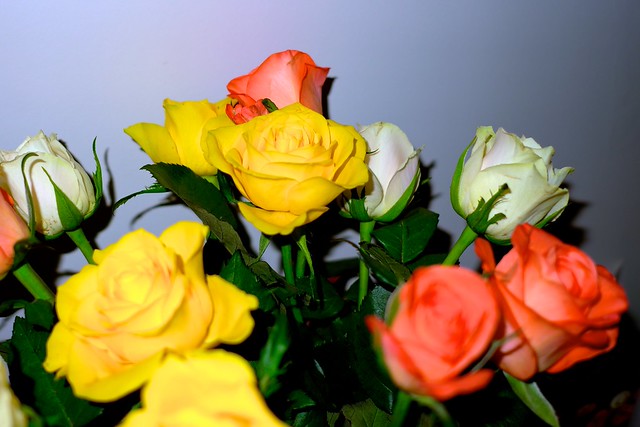 5442397777_0e3c1a2572_z.jpg