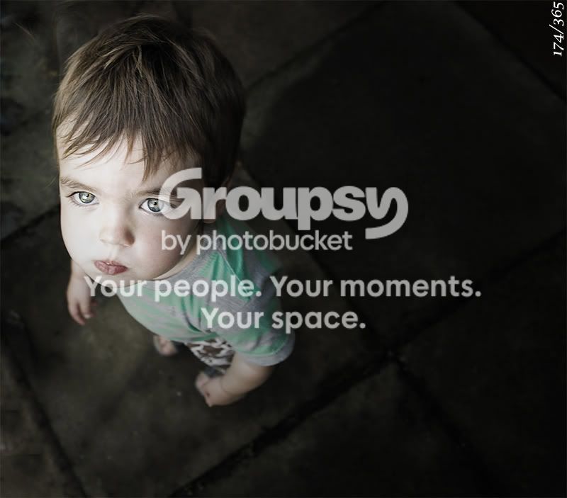 365_174.jpg