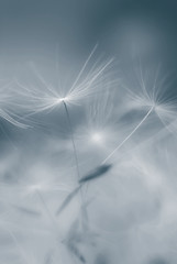 3976414383_b3c30d7099_m.jpg