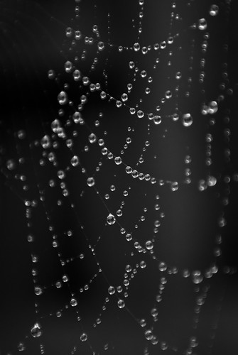 4014065340_881f479d62.jpg