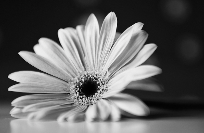 4365127193_a9868df7b6_o.jpg