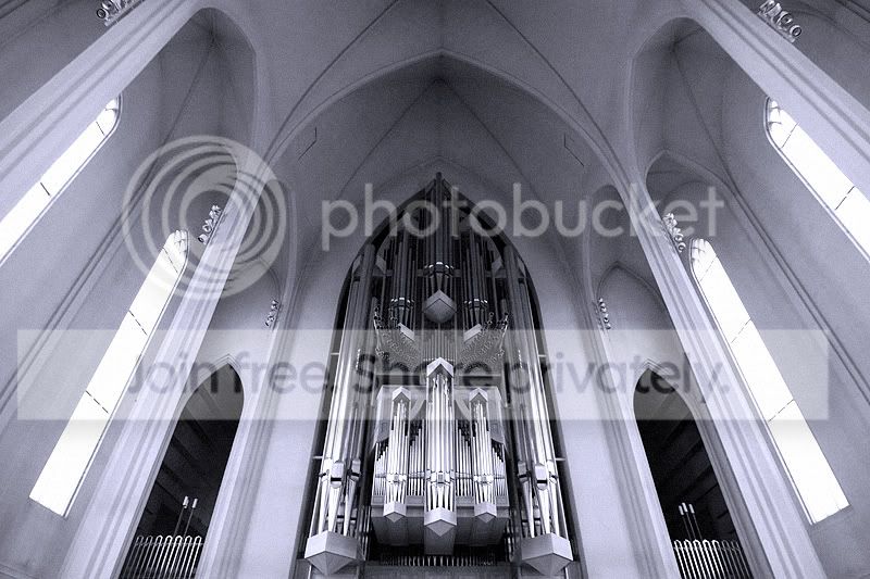 IMG_6164.jpg