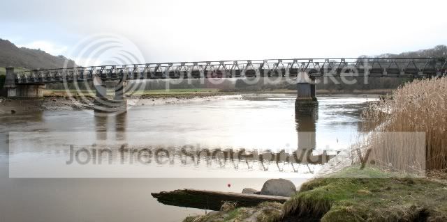 water049LargeWebview.jpg