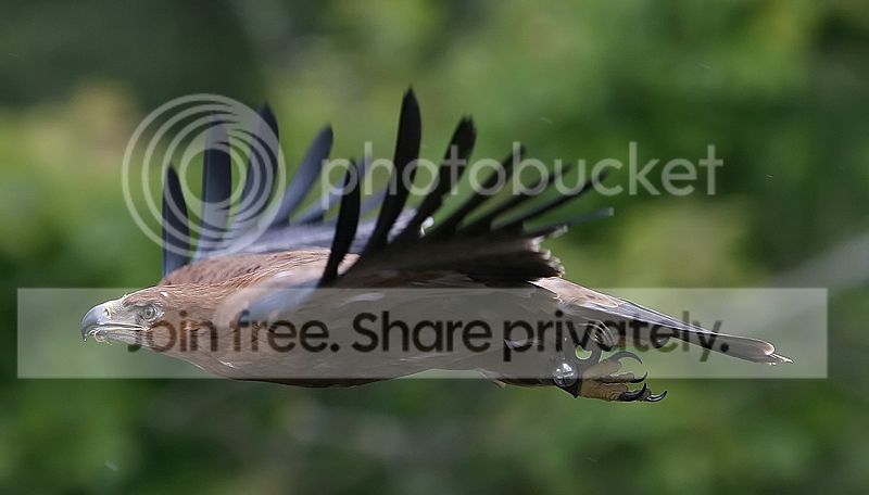 IMG_3738copy1.jpg