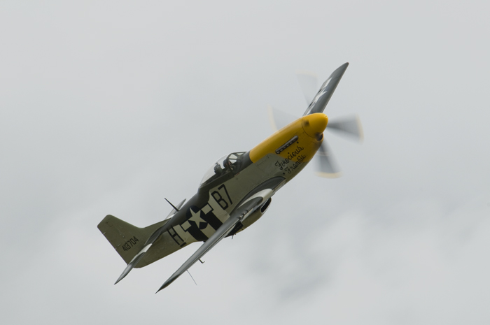 mustang_1.jpg