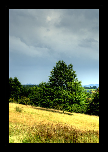 3852605551_129e70a001.jpg