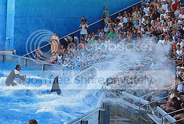 Seaworld.jpg