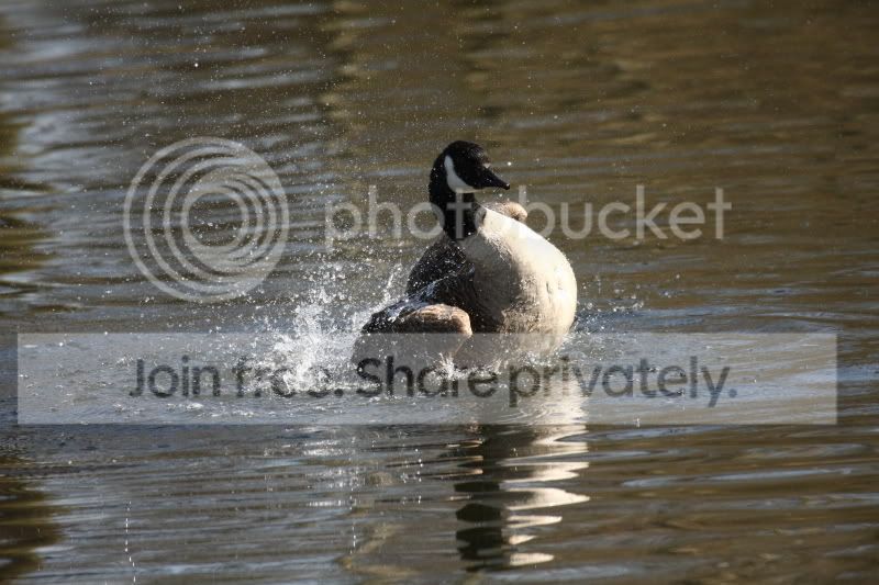 IMG_5447.jpg
