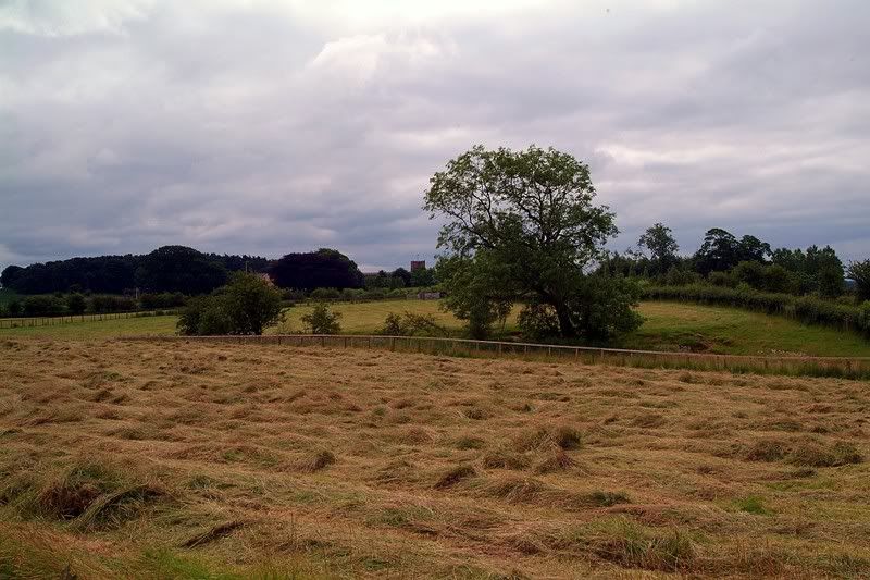 DSCF0162.jpg