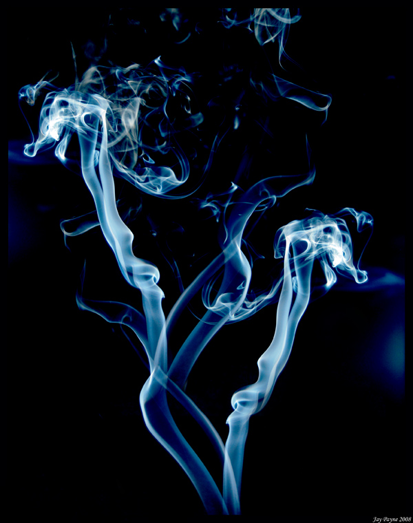 Twin%20Dragons(framed)small.jpg