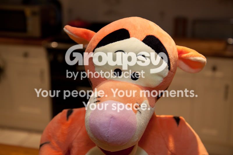 akphoto-8843.jpg