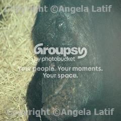 Watermark_308.jpg