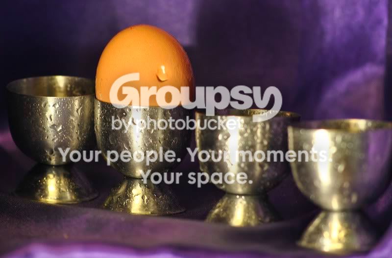 19-reshoot-single.jpg