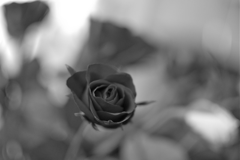4448487572_7f00bc2b9b_o.jpg