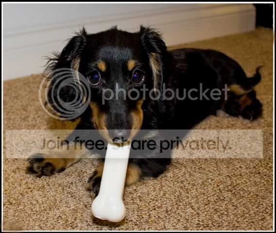 Untitled-4-Copy.jpg