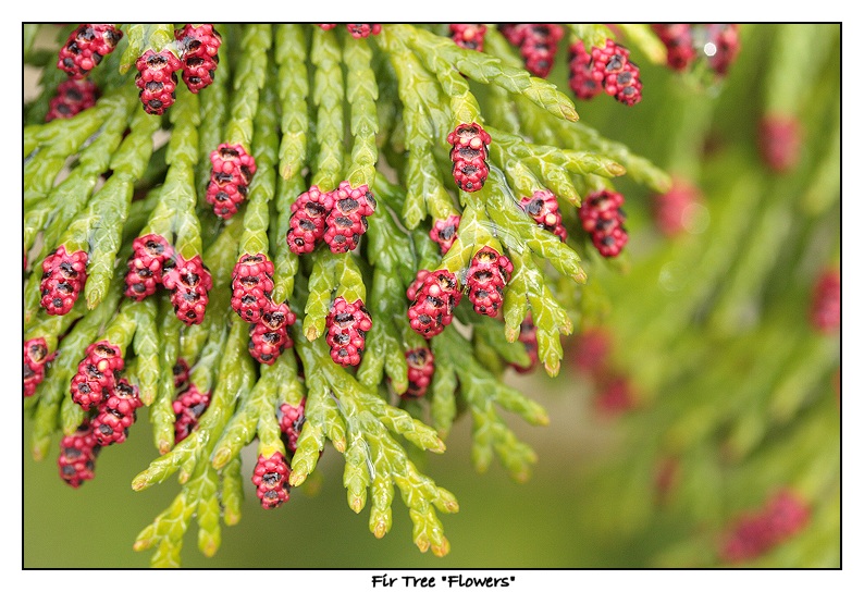 Img_4650a.jpg