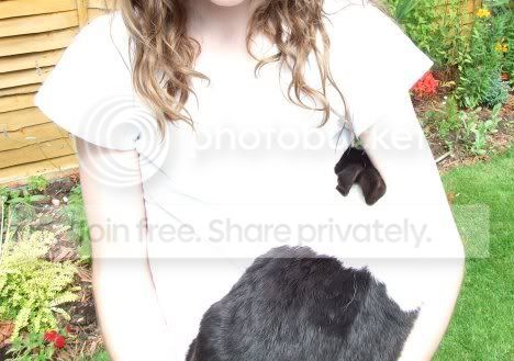 rabbit-1.jpg