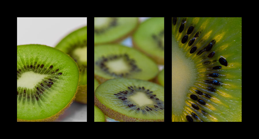 Kiwi_Triptych_by_DanLeach.jpg