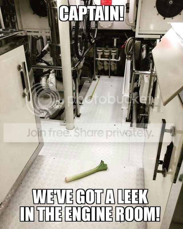 leek%20meme_zpsj8zyfhbb.jpg