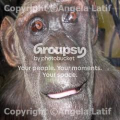 Watermark_105-1.jpg