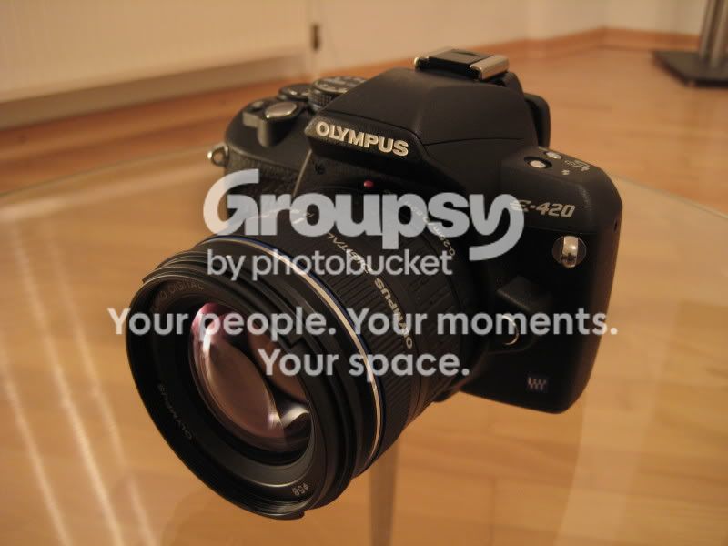 2506b7f8.jpg